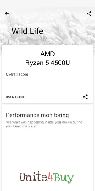 AMD Ryzen 5 4500U 3DMark benchmark-poeng