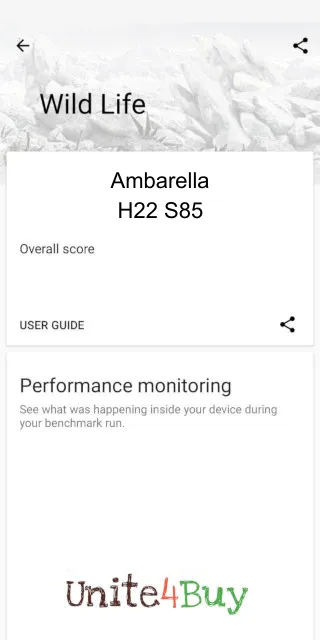 Ambarella H22 S85 3DMark benchmarkresultat-poäng